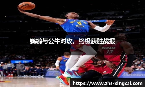 鹈鹕与公牛对攻，终极获胜战报