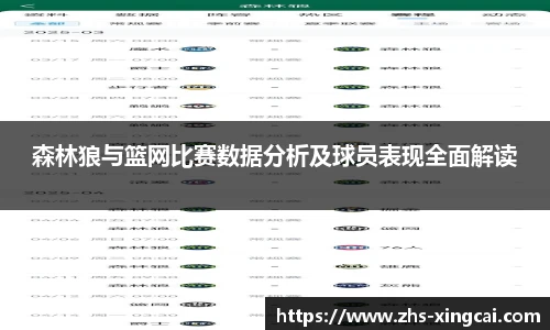 森林狼与篮网比赛数据分析及球员表现全面解读