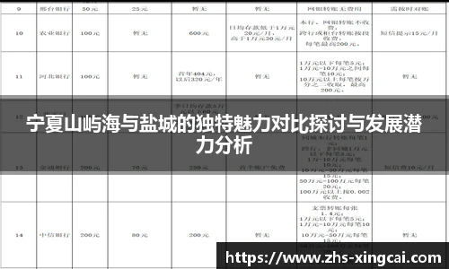 宁夏山屿海与盐城的独特魅力对比探讨与发展潜力分析